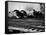 Super Chief and El Capitan Locomotives from the Santa Fe Railroad Sitting in a Rail Yard-William Vandivert-Framed Stretched Canvas