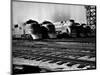 Super Chief and El Capitan Locomotives from the Santa Fe Railroad Sitting in a Rail Yard-William Vandivert-Mounted Photographic Print