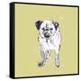 Super Cute Pug-Niya Christine-Framed Stretched Canvas