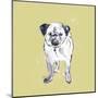 Super Cute Pug-Niya Christine-Mounted Art Print