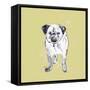 Super Cute Pug-Niya Christine-Framed Stretched Canvas