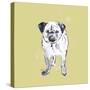 Super Cute Pug-Niya Christine-Stretched Canvas