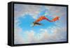 Super Fred-Linda Ridd Herzog-Framed Stretched Canvas