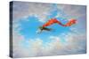 Super Fred-Linda Ridd Herzog-Stretched Canvas