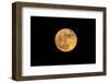 Super full moon-null-Framed Photographic Print