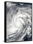 Super Typhoon Haiyan over the Philippines-null-Framed Stretched Canvas