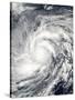 Super Typhoon Haiyan over the Philippines-null-Stretched Canvas