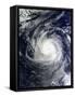 Super Typhoon Lekima in the Pacific Ocean-null-Framed Stretched Canvas