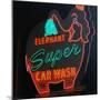 SUPER WASH-HEIDI MARTIN-Mounted Art Print