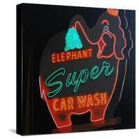 SUPER WASH-HEIDI MARTIN-Stretched Canvas