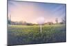 Super Wide Angle View of Golf Ball on Tee with Desert Fairway and Stunning Arizona Sunset in Backgr-BCFC-Mounted Photographic Print