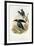 Superb Bird of Paradise-null-Framed Giclee Print