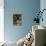 Superb Fairy-Wren or Blue Wren., Australia-Charles Sleicher-Stretched Canvas displayed on a wall