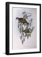 Superb Fruit-Dove (Ptilinopus Superbus)-John Gould-Framed Giclee Print