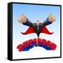 Superdad-stockshoppe-Framed Stretched Canvas