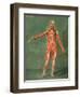 Superficial Muscular System of the Front of the Body-Arnauld Eloi Gautier D'agoty-Framed Giclee Print