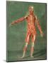 Superficial Muscular System of the Front of the Body-Arnauld Eloi Gautier D'agoty-Mounted Giclee Print