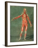 Superficial Muscular System of the Front of the Body-Arnauld Eloi Gautier D'agoty-Framed Giclee Print