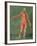 Superficial Muscular System of the Front of the Body-Arnauld Eloi Gautier D'agoty-Framed Giclee Print