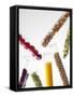 Superfoods-Tek Image-Framed Stretched Canvas