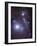 Supergiant Rigel and IC 2118 in Eridanus, Cederblad 41, the Witch Head Nebula-Stocktrek Images-Framed Photographic Print