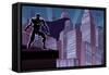 Superhero on Roof-Malchev-Framed Stretched Canvas