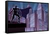 Superhero on Roof-Malchev-Framed Stretched Canvas