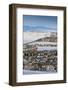 Superior, Greater Denver Suburban Development, Colorado, USA-Walter Bibikow-Framed Photographic Print