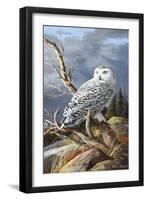 Superior Vantage-Trevor V. Swanson-Framed Giclee Print