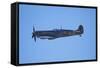 Supermarine Spitfire, British and Allied WWII War Plane, South Island, New Zealand-David Wall-Framed Stretched Canvas