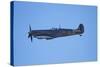 Supermarine Spitfire, British and Allied WWII War Plane, South Island, New Zealand-David Wall-Stretched Canvas