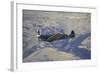 Supermarine Spitfire, British and Allied WWII War Plane, South Island, New Zealand-David Wall-Framed Photographic Print