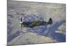 Supermarine Spitfire, British and Allied WWII War Plane, South Island, New Zealand-David Wall-Mounted Photographic Print