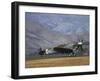 Supermarine Spitfire, British and Allied WWII War Plane, South Island, New Zealand-David Wall-Framed Premium Photographic Print