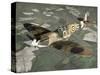 Supermarine Spitfire Mk Vb, 1941-Chas Brown-Stretched Canvas