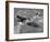 Supermarine Spitfire Mk Vb, 1941-Chas Brown-Framed Giclee Print