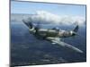 Supermarine Spitfire Mk.XVI Fighter Warbird of the Royal Air Force-Stocktrek Images-Mounted Photographic Print
