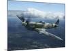 Supermarine Spitfire Mk.XVI Fighter Warbird of the Royal Air Force-Stocktrek Images-Mounted Photographic Print