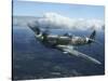 Supermarine Spitfire Mk.XVI Fighter Warbird of the Royal Air Force-Stocktrek Images-Stretched Canvas