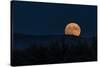 Supermoon Ridge Rise-Brenda Petrella Photography LLC-Stretched Canvas