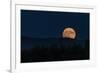 Supermoon Ridge Rise-Brenda Petrella Photography LLC-Framed Giclee Print