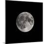 Supermoon-Brenda Petrella Photography LLC-Mounted Giclee Print