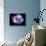 Supernova Remnant Cassiopeia A, X-ray-null-Framed Photographic Print displayed on a wall