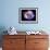 Supernova Remnant Cassiopeia A, X-ray-null-Framed Photographic Print displayed on a wall