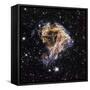 Supernova Remnant LMC N 49-null-Framed Stretched Canvas