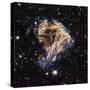 Supernova Remnant LMC N 49-null-Stretched Canvas