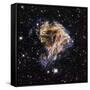 Supernova Remnant LMC N 49-null-Framed Stretched Canvas