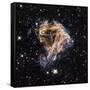 Supernova Remnant LMC N 49-null-Framed Stretched Canvas