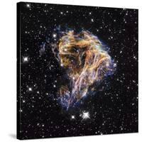 Supernova Remnant LMC N 49-null-Stretched Canvas