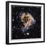 Supernova Remnant LMC N 49-null-Framed Premium Photographic Print